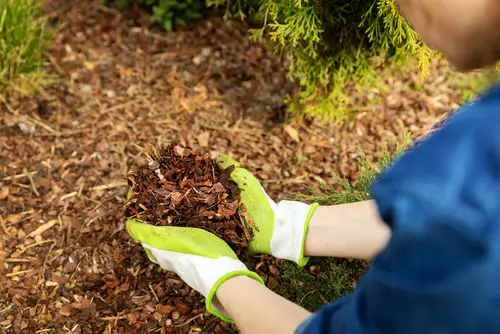 Add a Layer of Mulch
