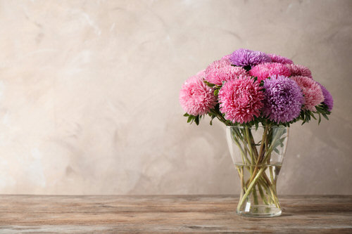 Cut Flower Plants You Can Regrow 08