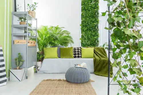 How to earn from garden? 15