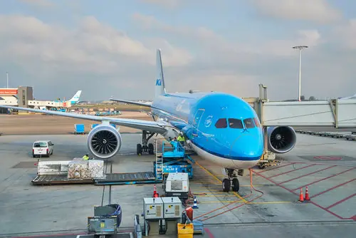 Can You Take Live Plants on a Plane