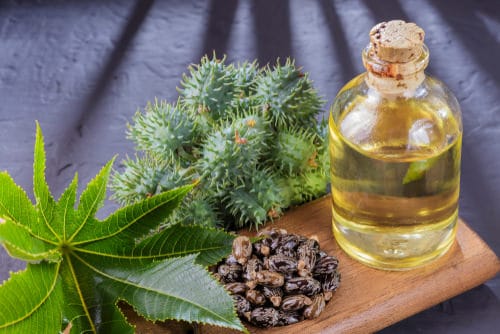 Castor Oil Uses in the Garden