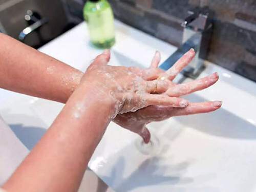 use of soap in garden and home 24