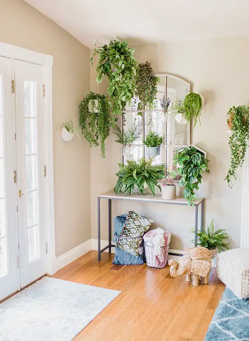 A Living Hanging Plant Wall like Setting at the Entrance