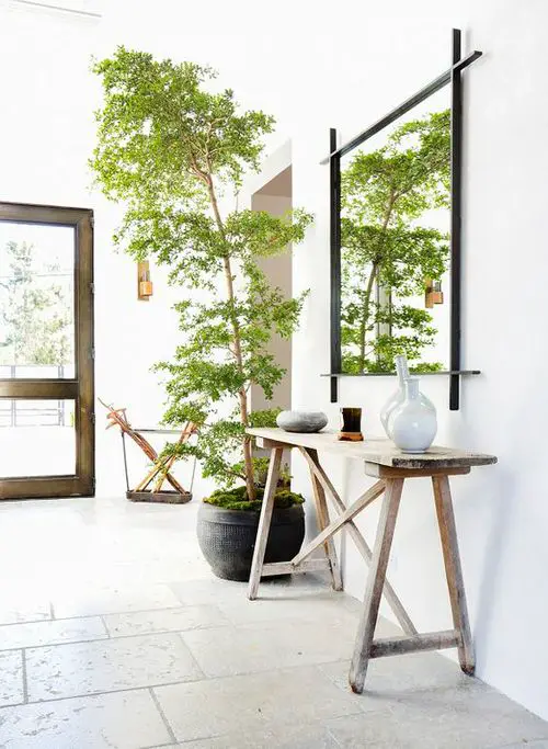 A Tall Potted Tree at the Entrance Door