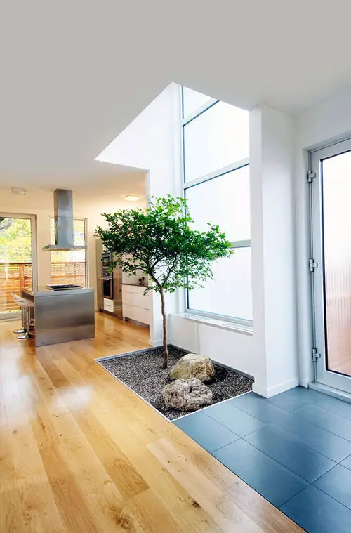 Mini Tree by the Door