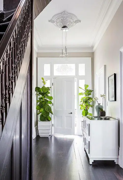 Two Tall Figs at the Entrance Door