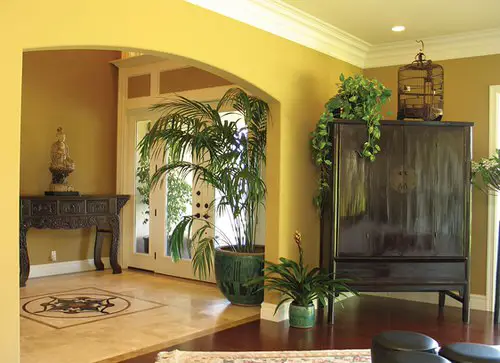 Kentia Palm in a Jade Green Pot at the Door