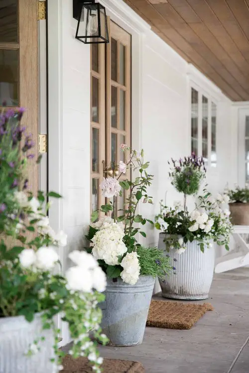 Elegant Flower Pot Arrangement at the Entrance