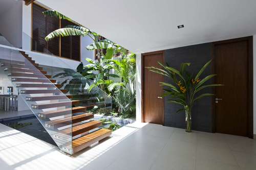 Tropical Plants by the Door and Stairs