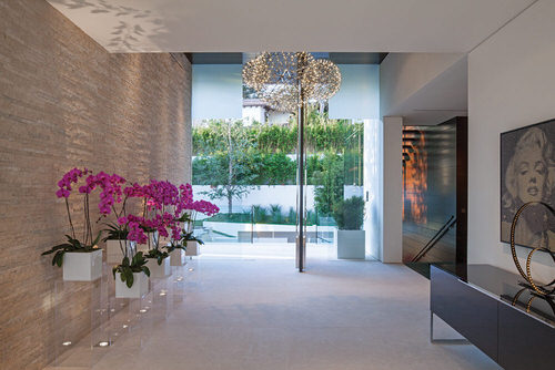 Entryway Décor Ideas with Plants