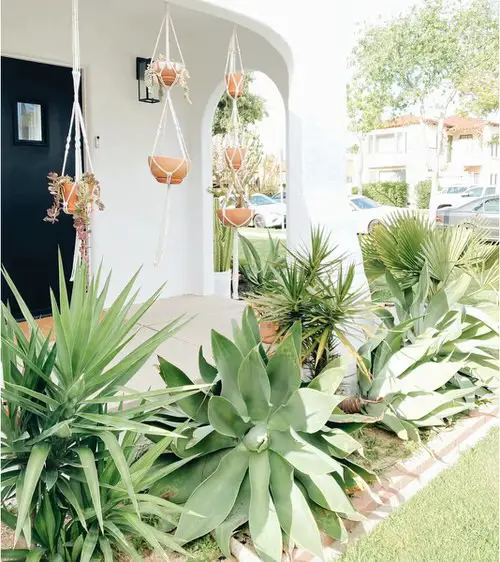 Front Door Planters 13