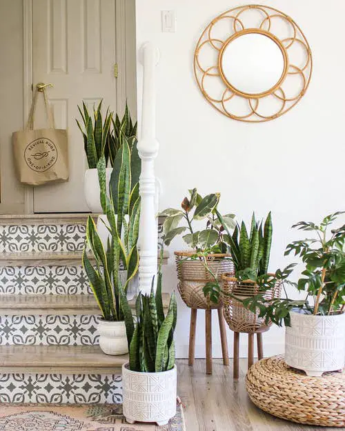 ront Door Planters for Home Entrance 32