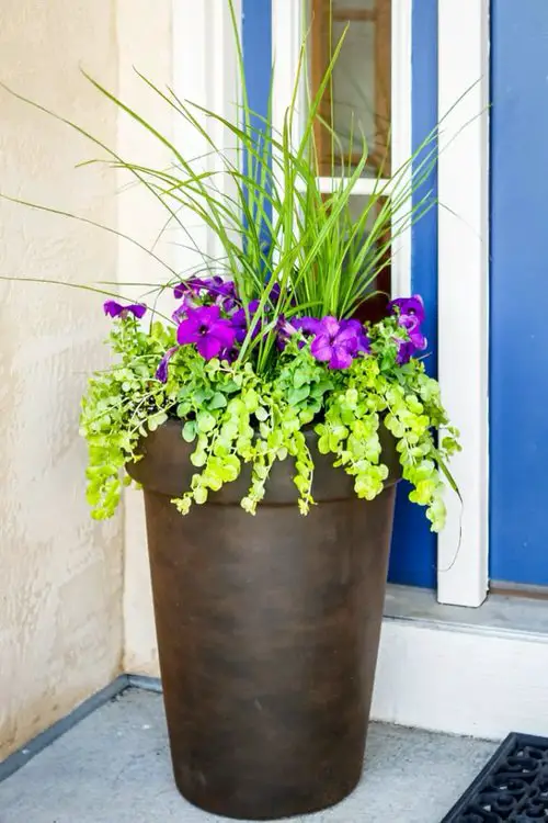 ront Door Planters for Home Entrance 44