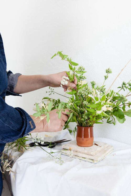 Cut Flower Plants You Can Regrow 06