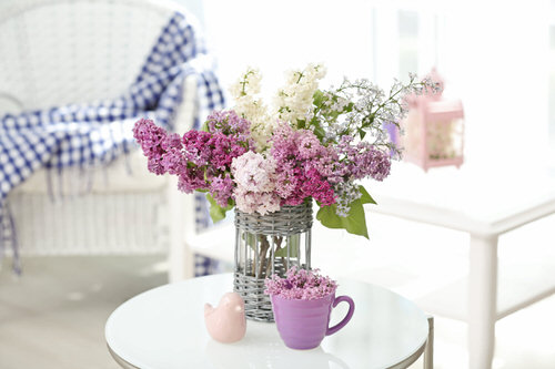 Cut Flowers You Can Re-grow from Bouquet 2