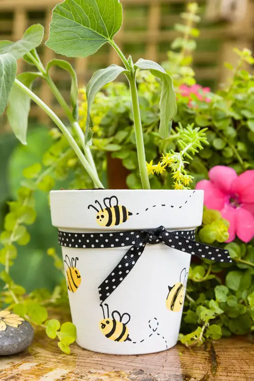 Decorate Your Terracotta Pots