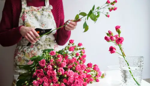 Cut Flower Plants You Can Regrow 10