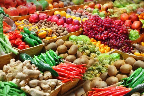 Ideas to Make Money from Gardening 88