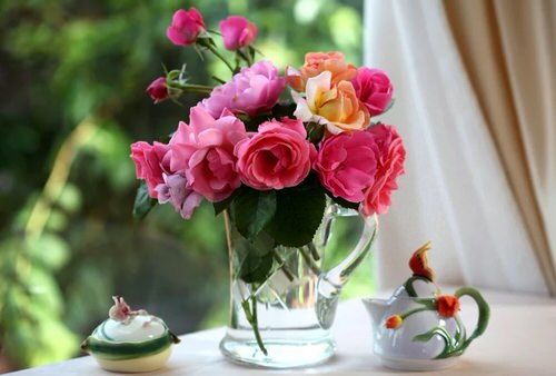 Vodka for Cut Flowers