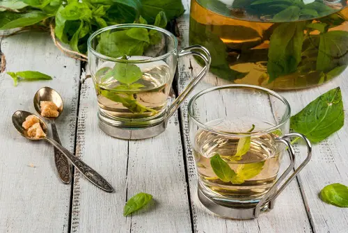 Basil Tea
