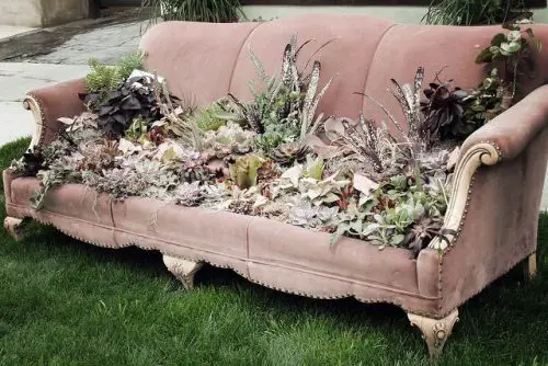 Flowers in an Old Couch