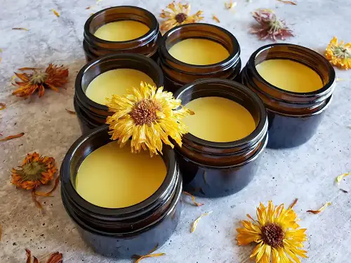 Make Calendula Salve at Home