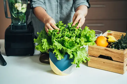 Best Indoor Vegetables
