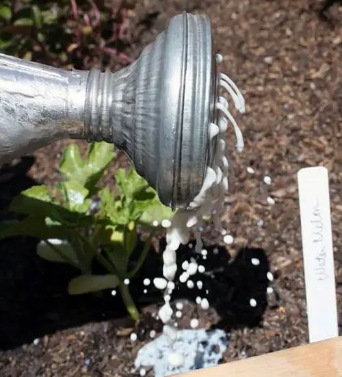 Cheap Gardening Tricks Every Gardener Should Know 26