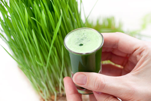 How to Make Wheatgrass Juice
