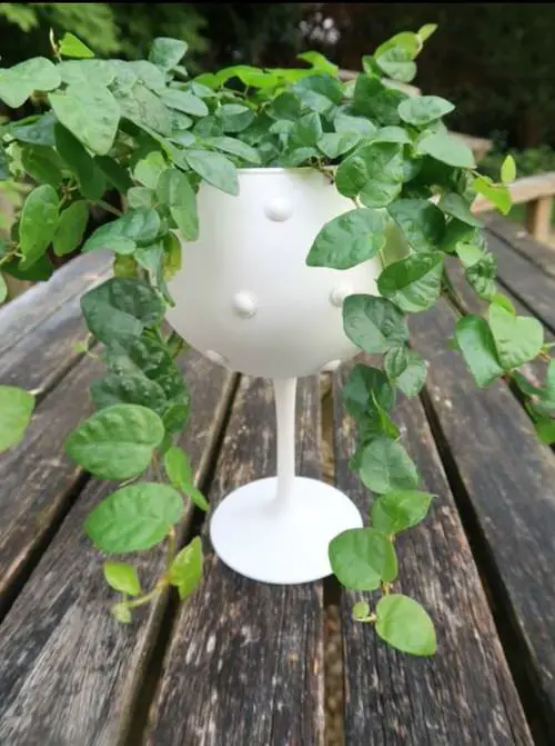 Wine glass As a Planter
