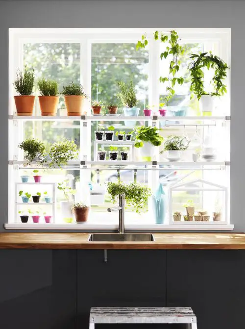 Kitchen Window Herb Garden