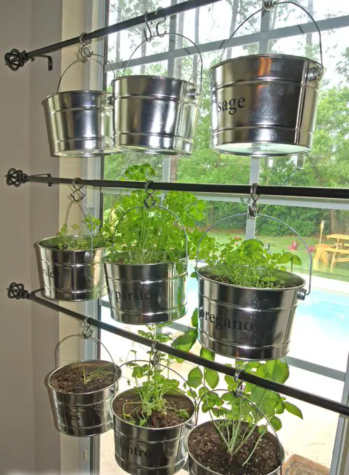 Herbs in Hanging Metal Buckets