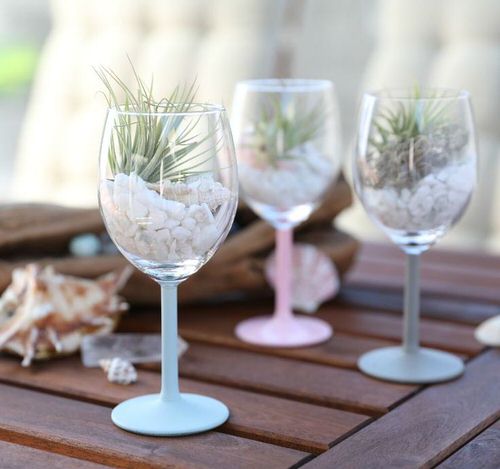 Succulents in Wine Glasses
