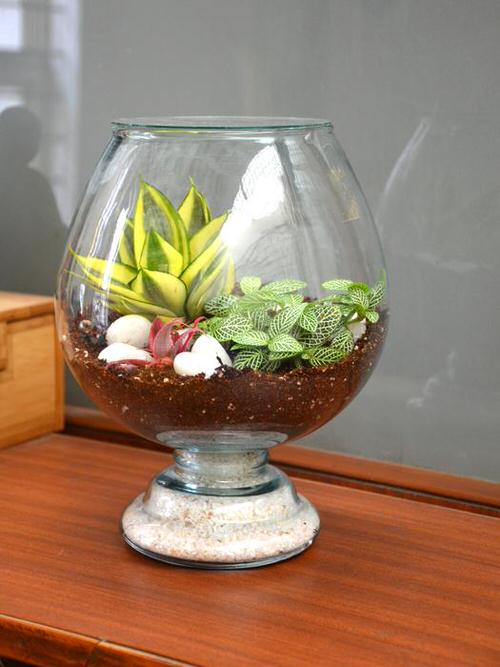 Wine Glass Terrarium