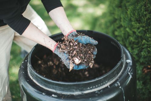 Cheap Gardening Tricks Every Gardener Should Know 97
