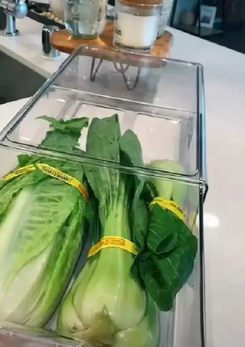Refrigerator Organization Tips and Hacks 13