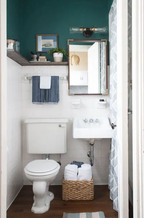 Rental Bathroom Plant Decor Ideas 5