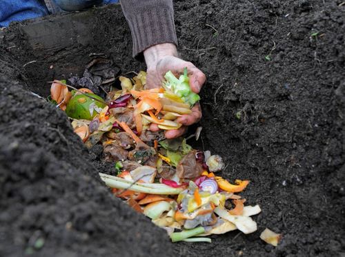 Cheap Gardening Tricks Every Gardener Should Know 55