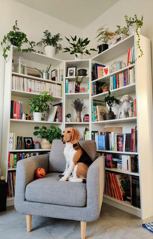 How to Decorate Every Part of Your Home with Plants 8