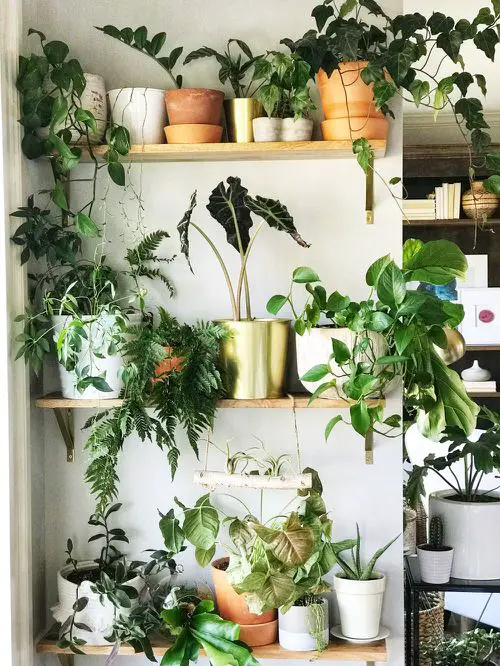 Home decor with plant idea 16