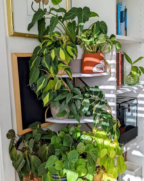 In-Built Shelf in the Wall to Keep Pots