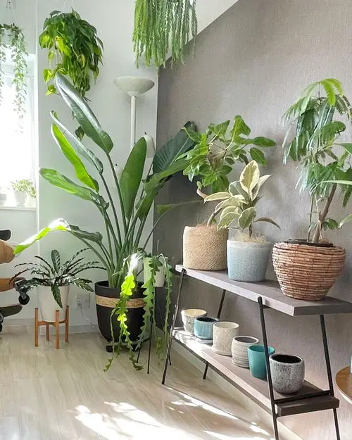 Mini Table with Potted Plants
