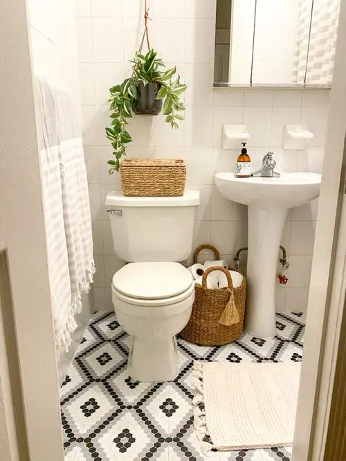 Rental Bathroom Plant Decor Ideas