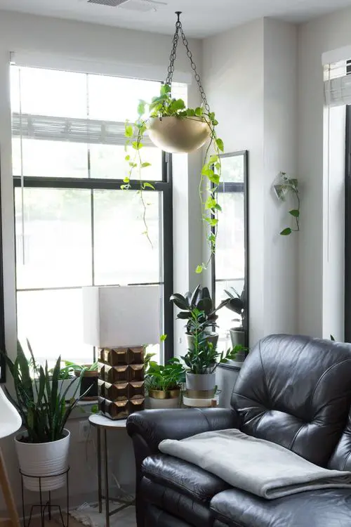 Home decor with plant idea 2