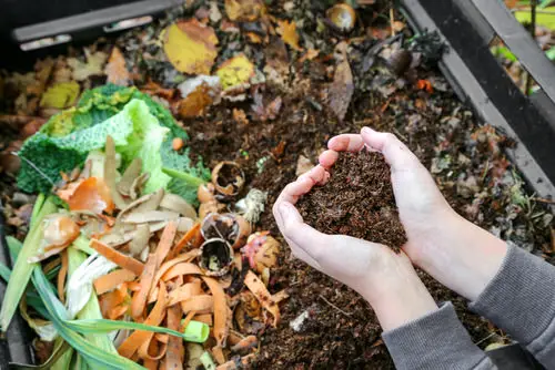 Budget Vegetable Garden idea 3