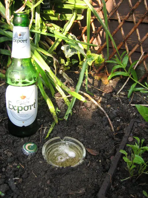 Cheap Gardening Tricks Every Gardener Should Know 32