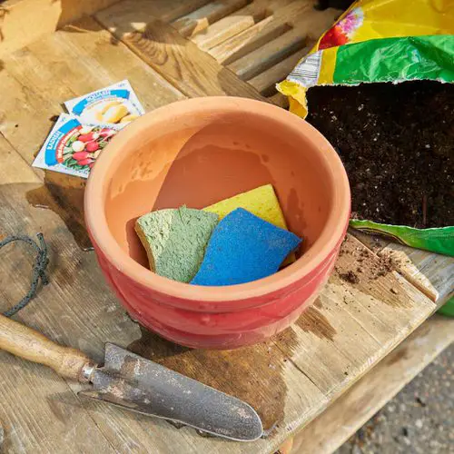 Cheap Gardening Tricks Every Gardener Should Know 91