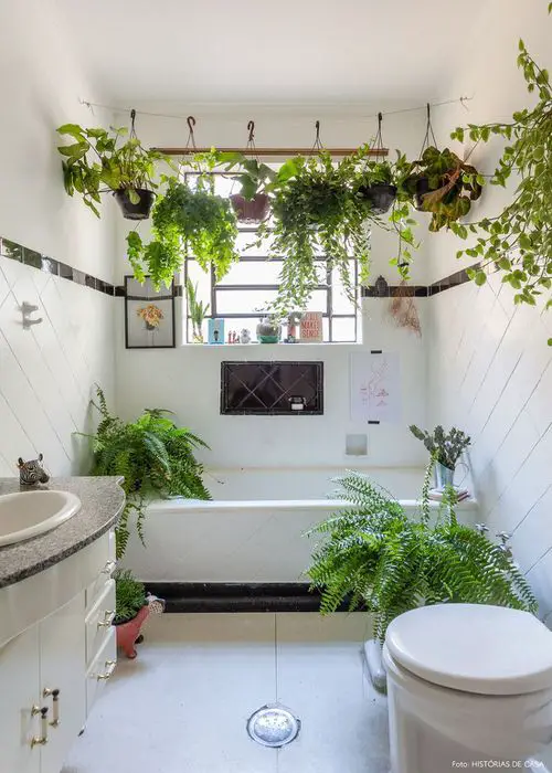 Hang Baskets and Pots Using Hooks