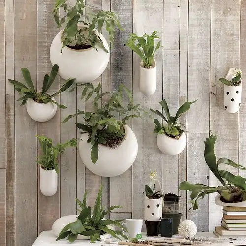 Plant Displaying Ideas 22