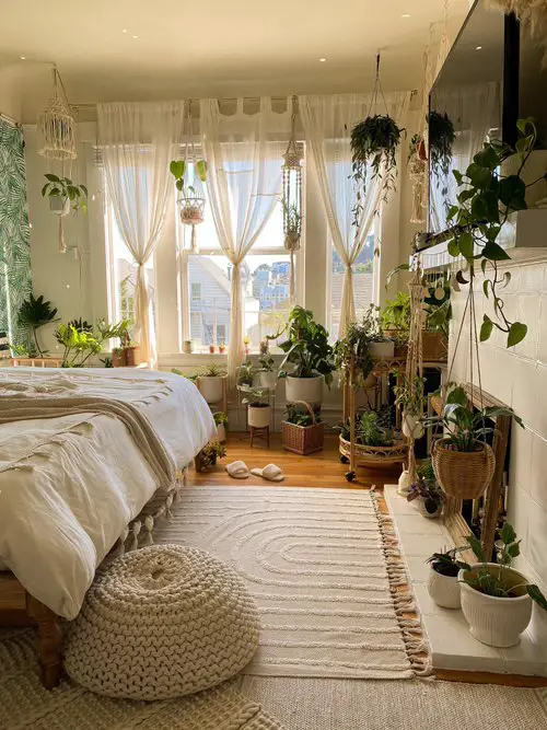 Plant Displaying Ideas 58